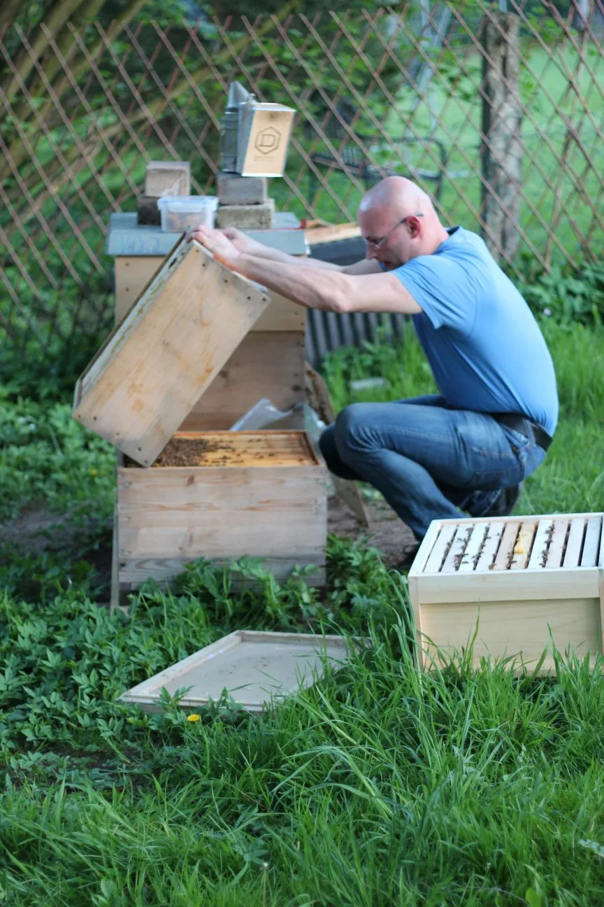 Arbeit an einem Bienenvolk in Wickede
